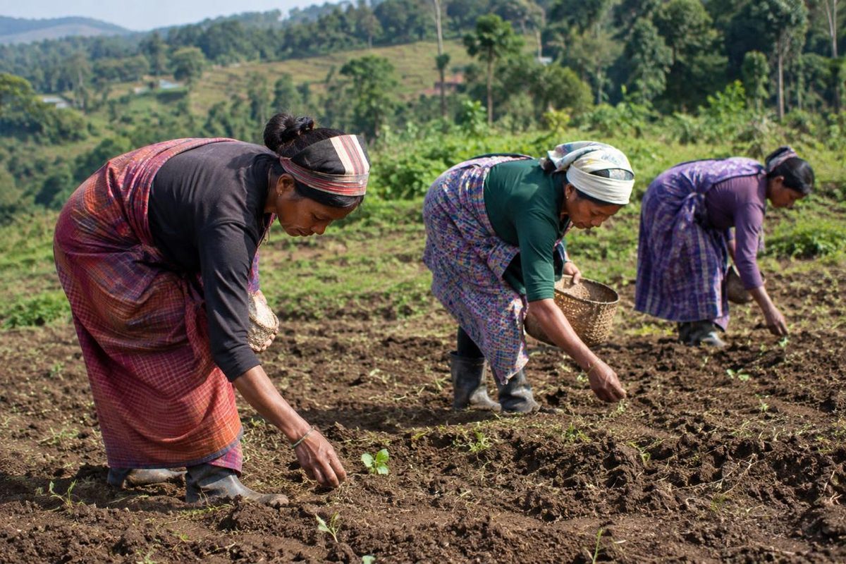 Tribal women farmers sowing in a hill field